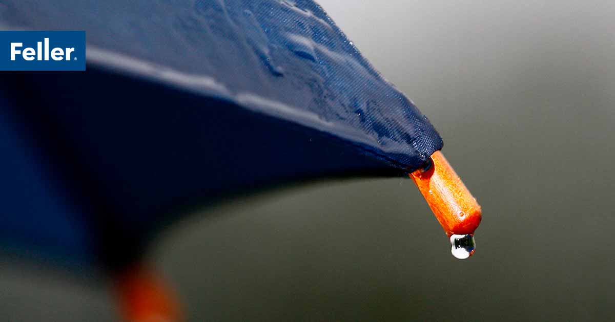 Seguros: Resultados y Perspectivas 22/23
