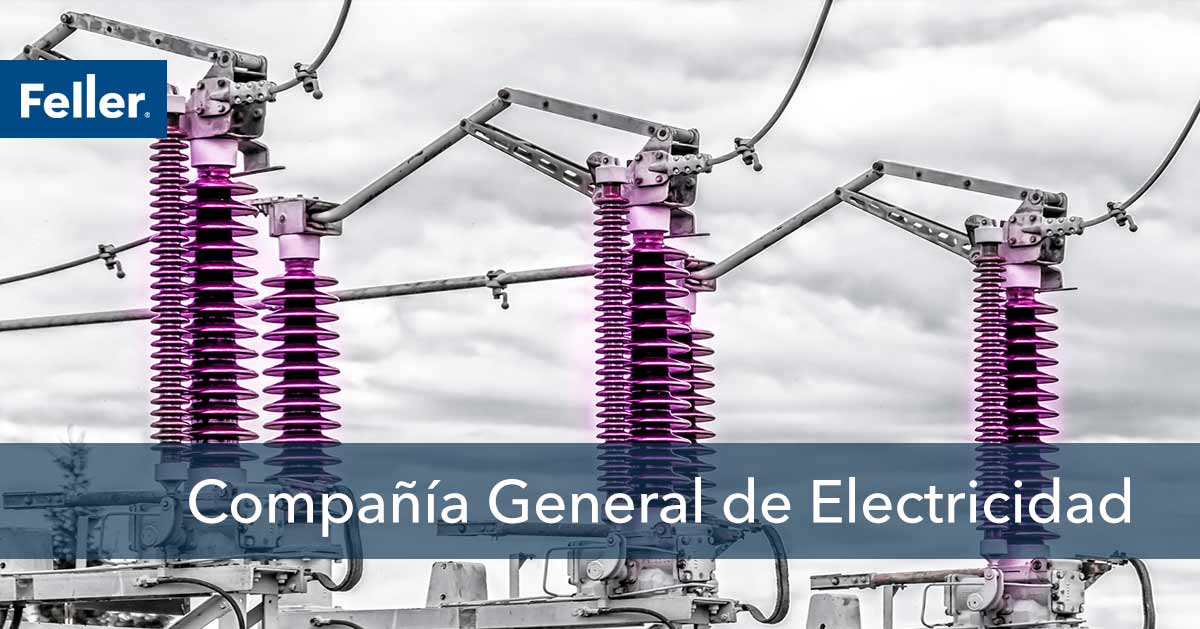 Compañía General de Electricidad S.A.