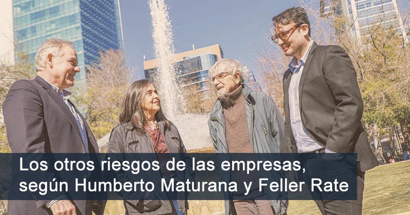 articulos